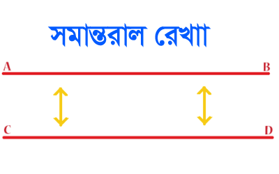 দ্বিমাত্রিক বস্তুর গল্প