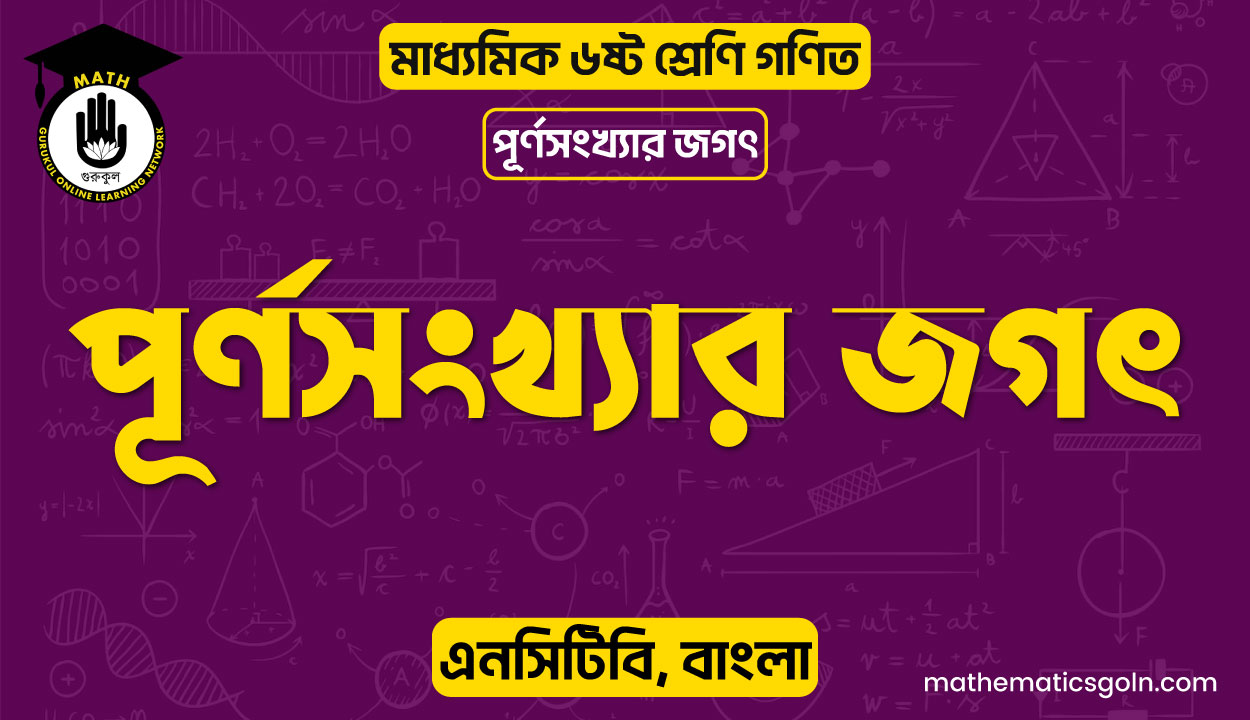 পূর্ণসংখ্যার জগৎ